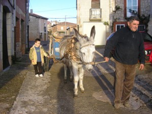 Operación kilo 2008