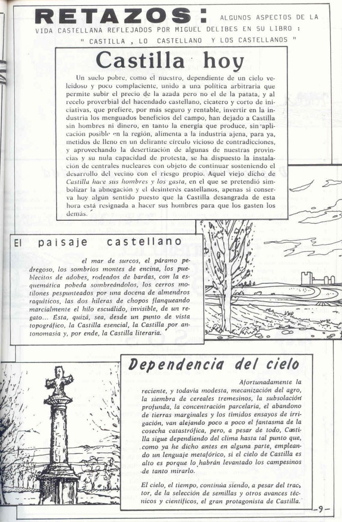 Revista Mecerreyes, num 15 e