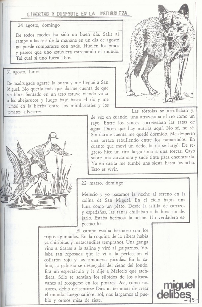 Revista Mecerreyes, num 16 c