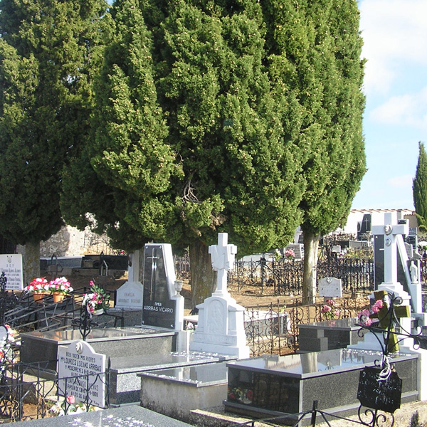 Cementerio Mecerreyes (1)