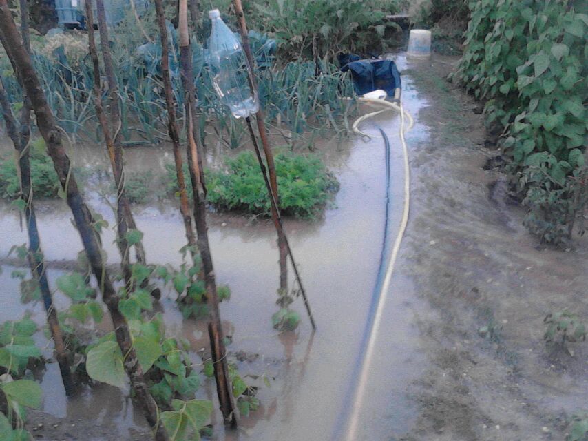Mecerreyes, huertas 2013 inundaciones (2)