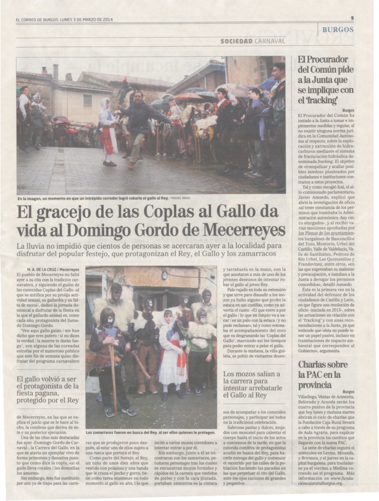 Mecerreyes, El Correo de Burgos 3-03-2014 Domingo de Carnaval