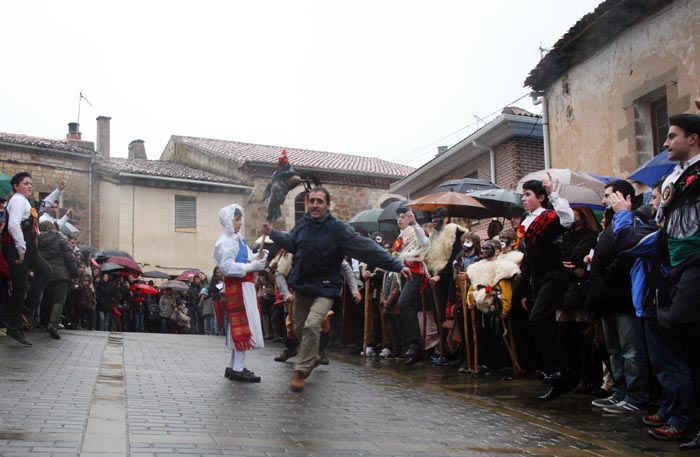 Mecerreyes, Gallo de Carnaval 2-03-2014 (Foterolerma)