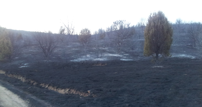 Incendio 1-09-2014 Mecerreyes, Puentedura, Quintanilla del Agua