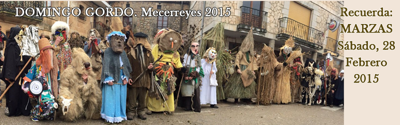 Mecerreyes, Zarramacadas y Carnavaladas 2015