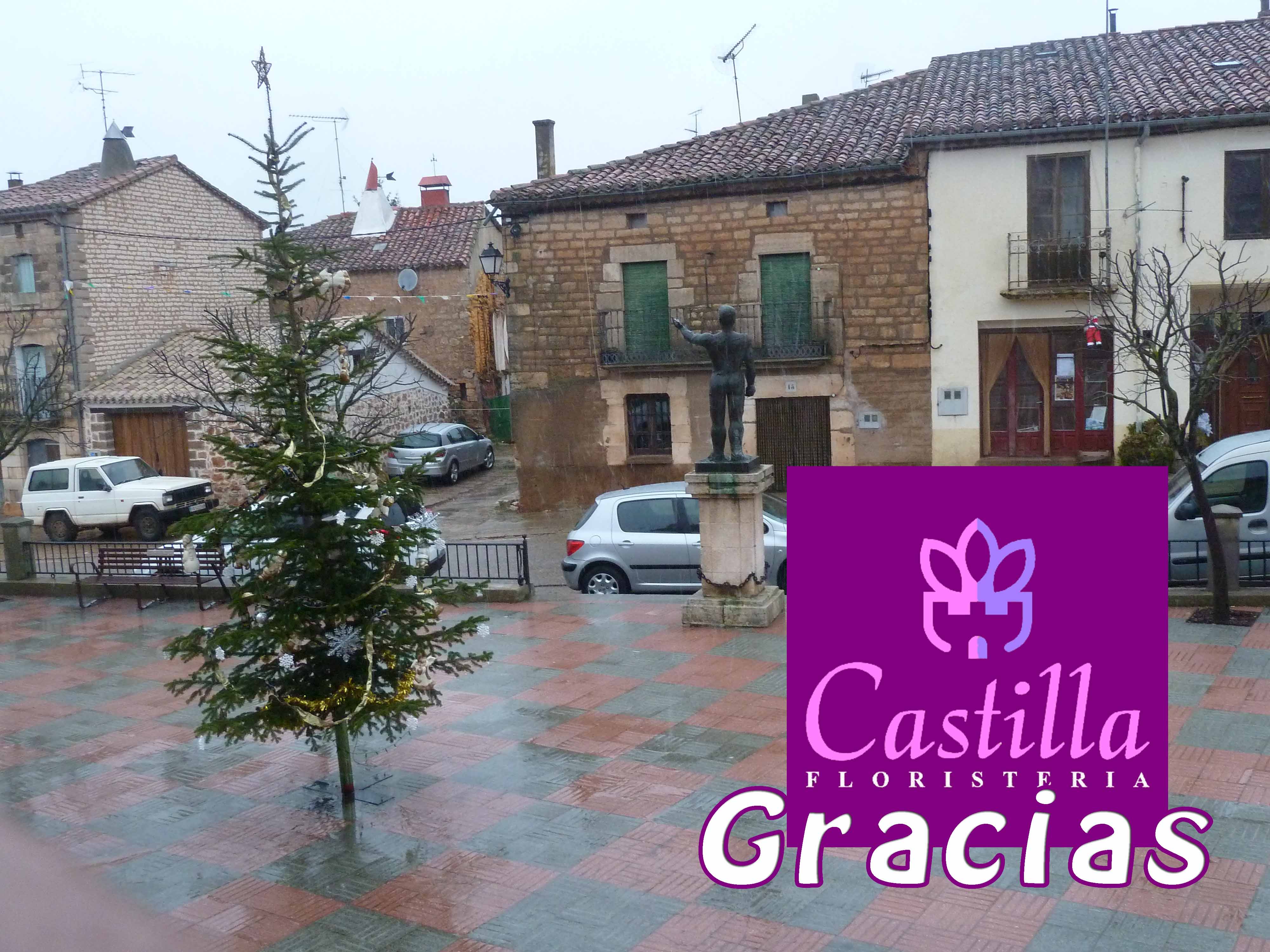 Mecerreyes, Navidad 2015 - Floristería Castilla