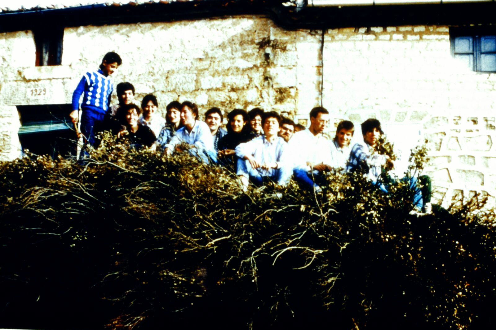 Mecerreyes, recogida de támbaras, año 1986. Foto Fernando Alonso, 1