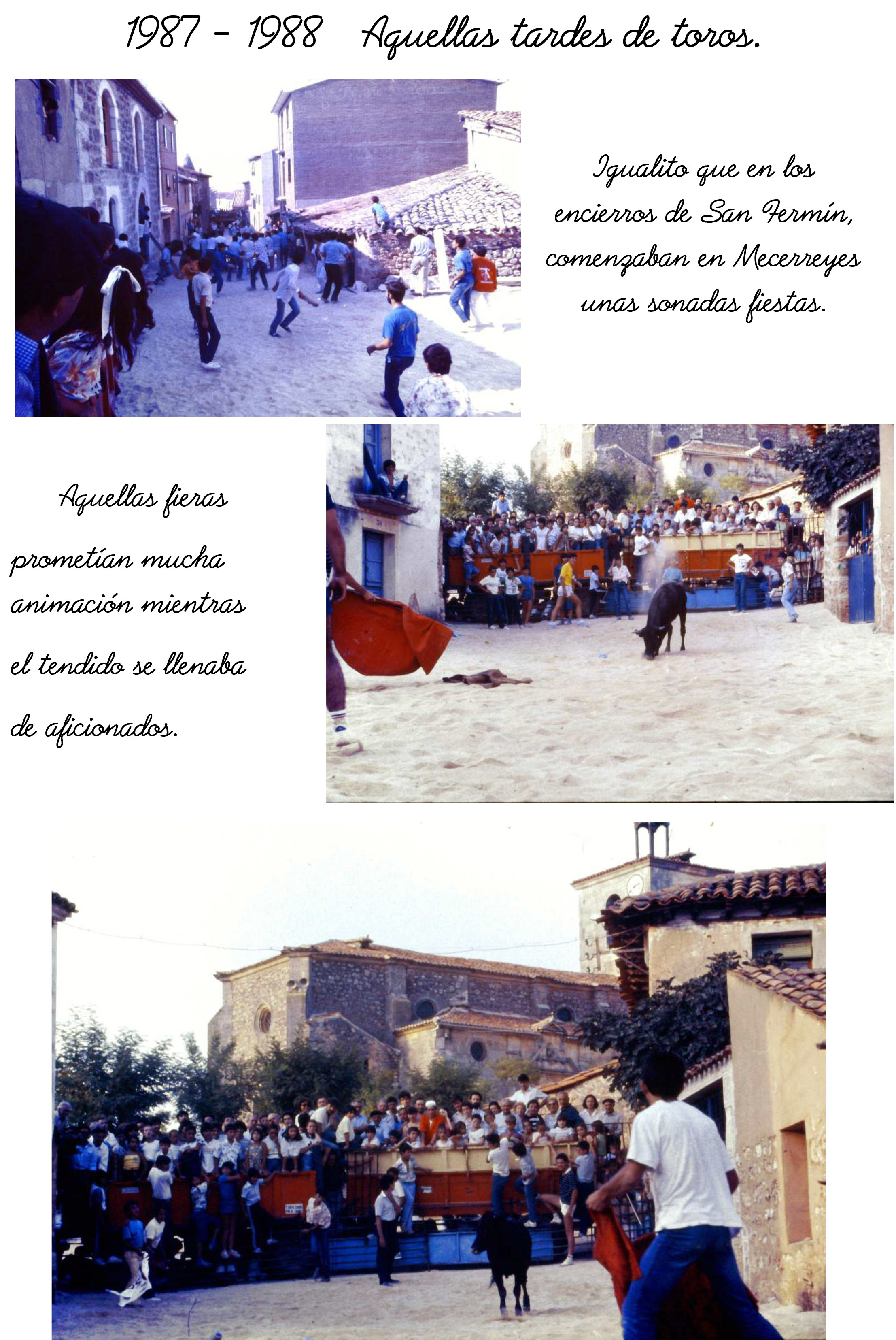 Tardes-de-Toros-1-Mecerreyes-1987-1988