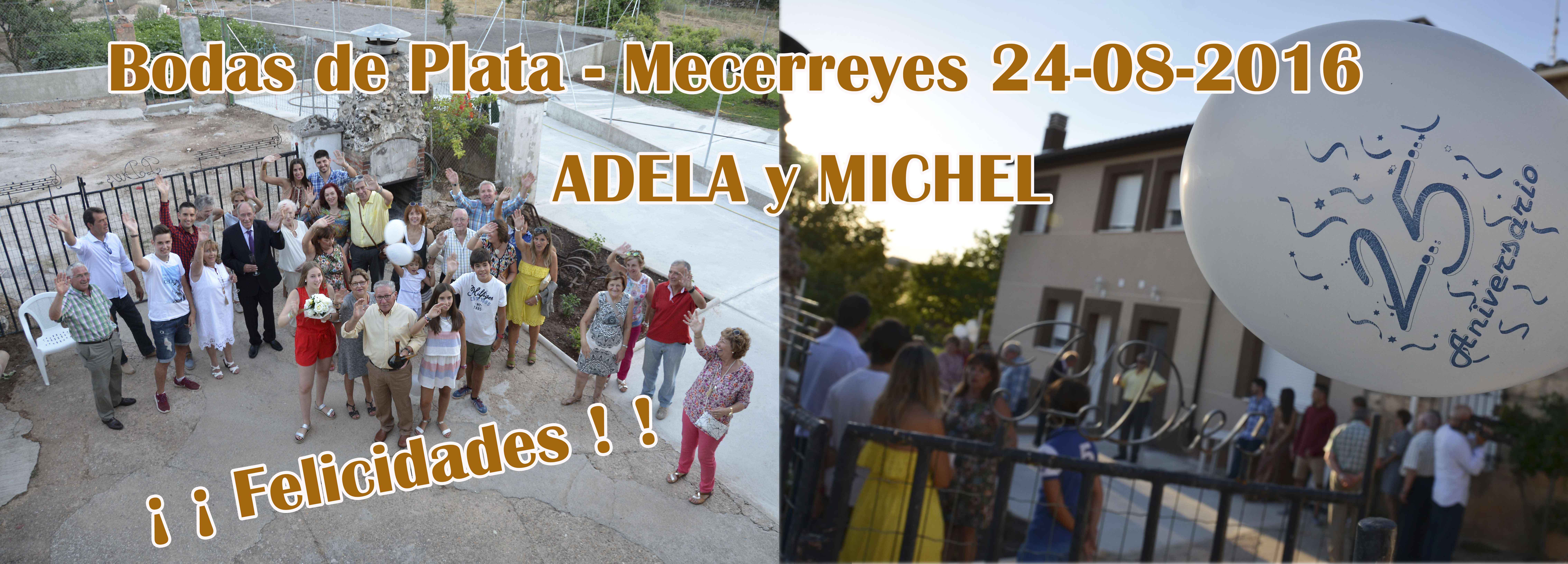 ADELA-MICHEL-2 -Bodas de plata 24-08-16, Mecerreyes