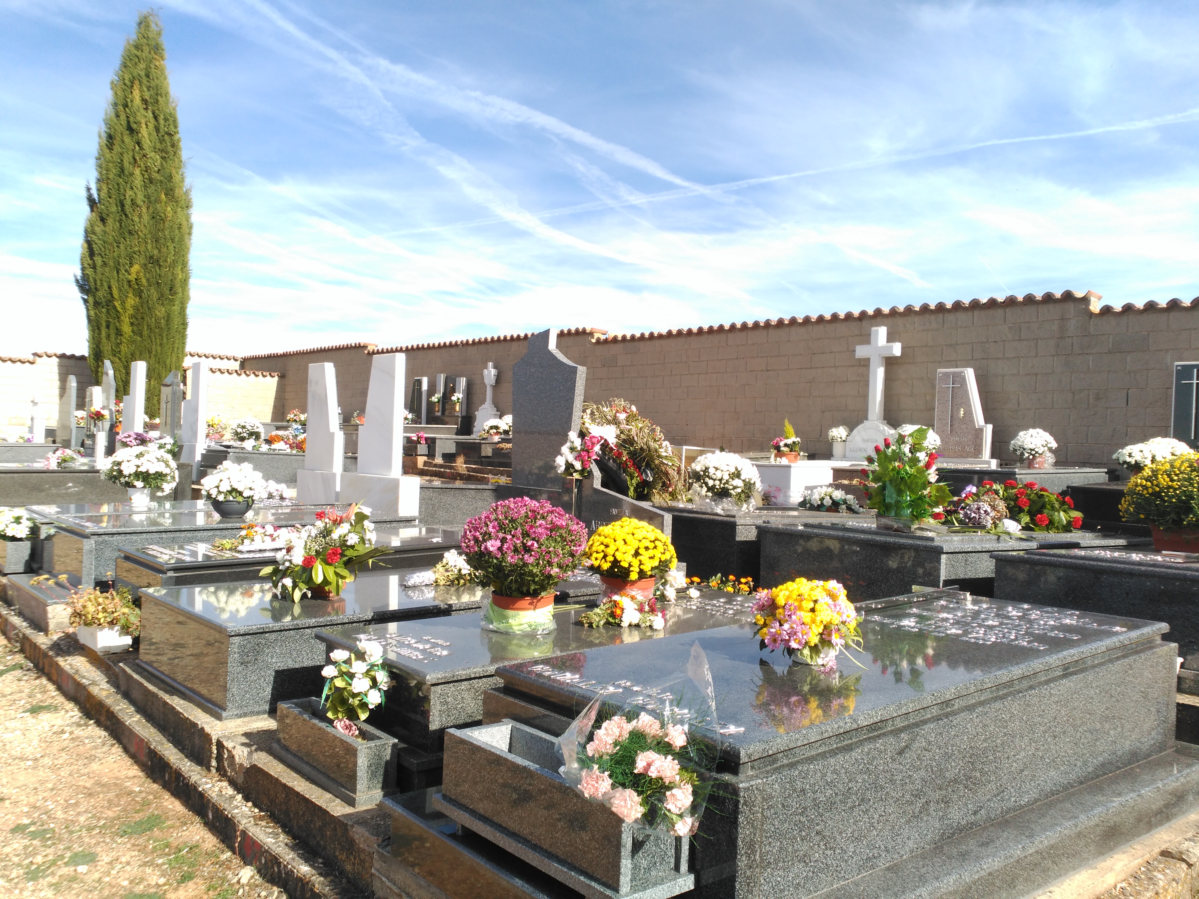 Mecerreyes, cementerio 01-11-2016