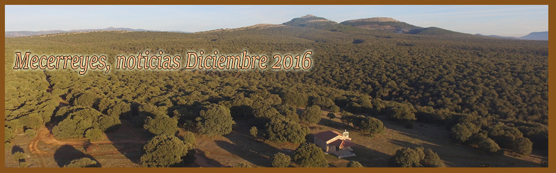 Noticias Diciembre 2016