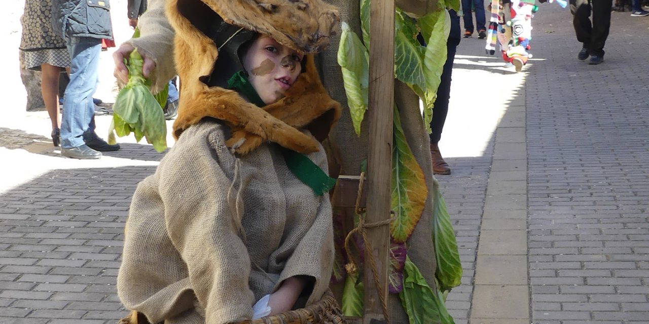 MARZAS Y GALLO DE CARNAVAL 2019