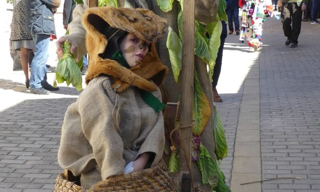 MARZAS Y GALLO DE CARNAVAL 2019