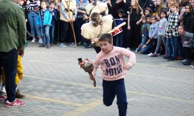 MARZAS Y GALLO DE CARNAVAL 2019