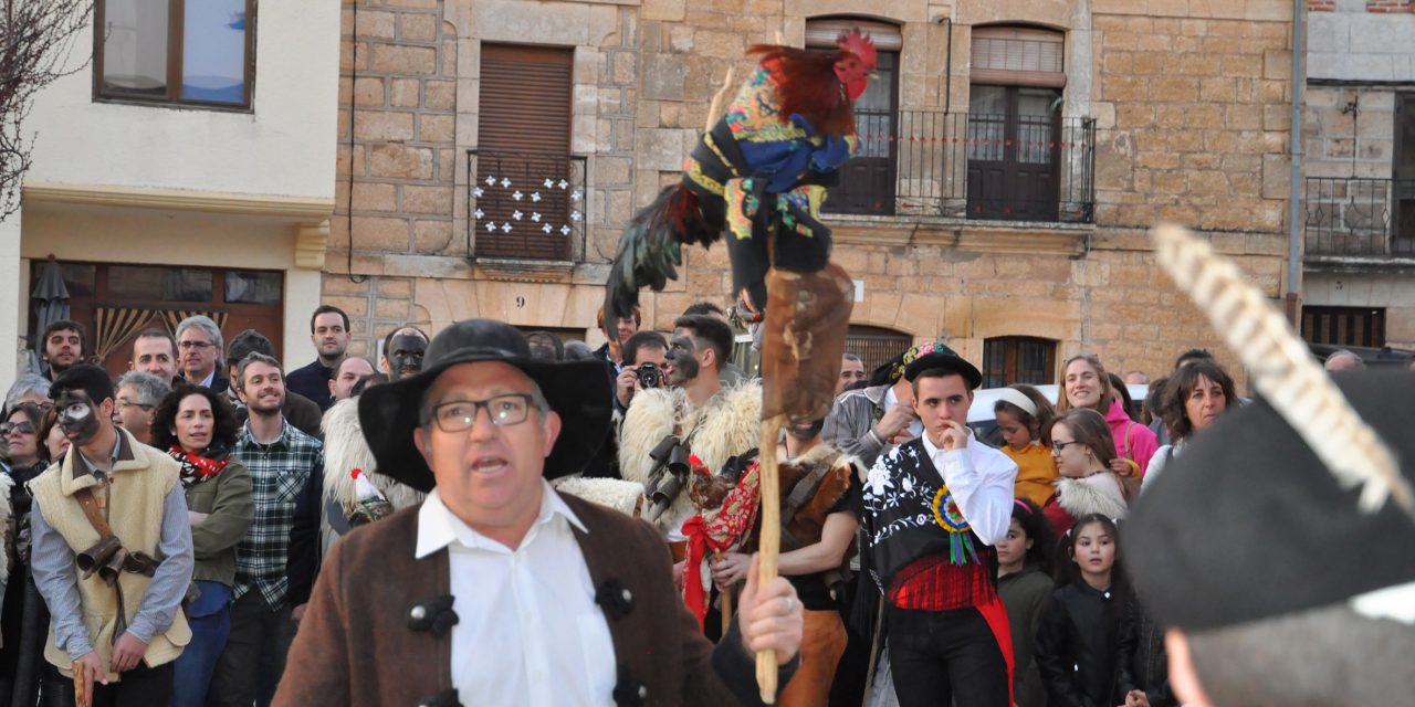 MARZAS Y GALLO DE CARNAVAL 2019