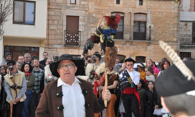 MARZAS Y GALLO DE CARNAVAL 2019