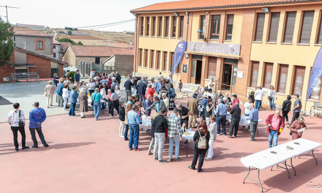 Noticias Octubre 2025