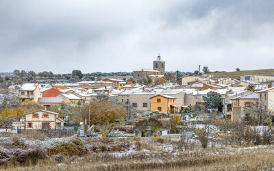 Noticias Noviembre 2025