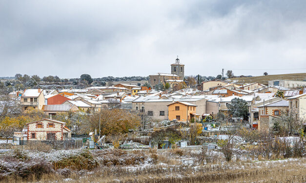 Noticias Noviembre 2025